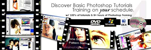 6 Amazing DVDs For Learning Adobe Photoshop From Essential To Advance Level Interactive Tutoria